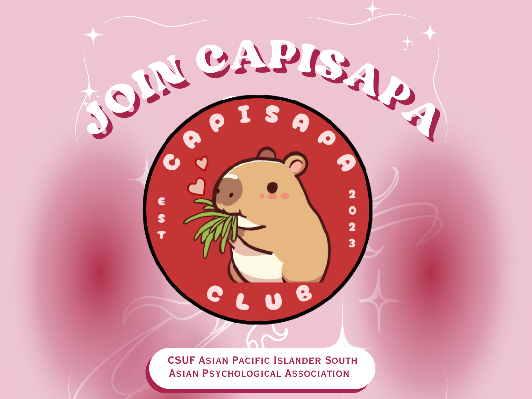CAPISAPA flyer